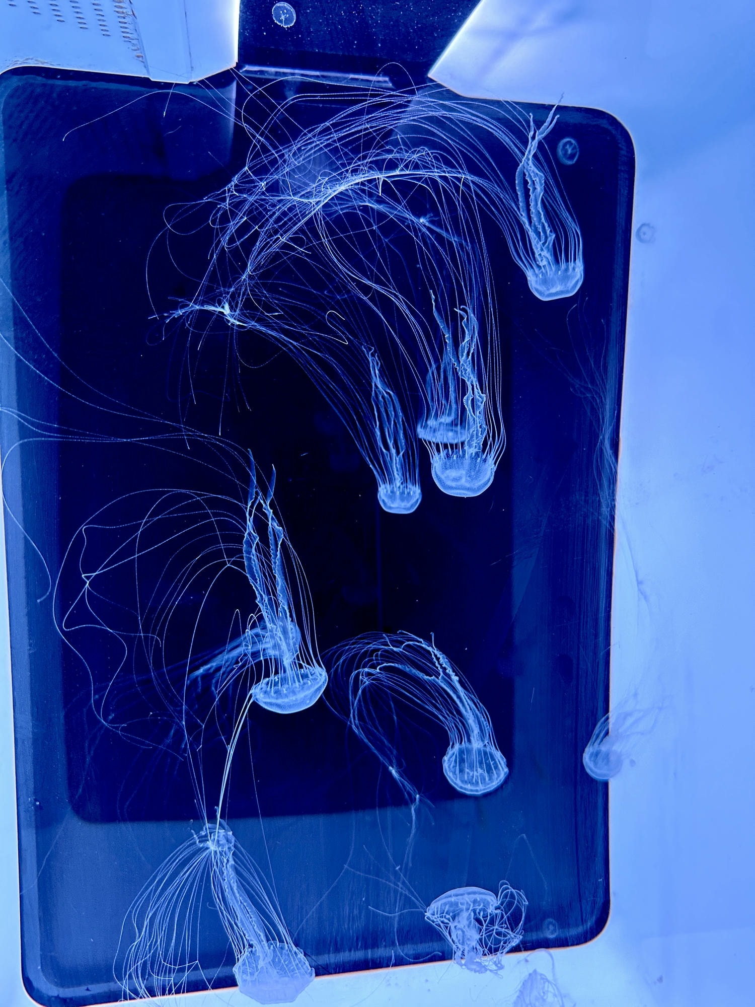20240921l7f56