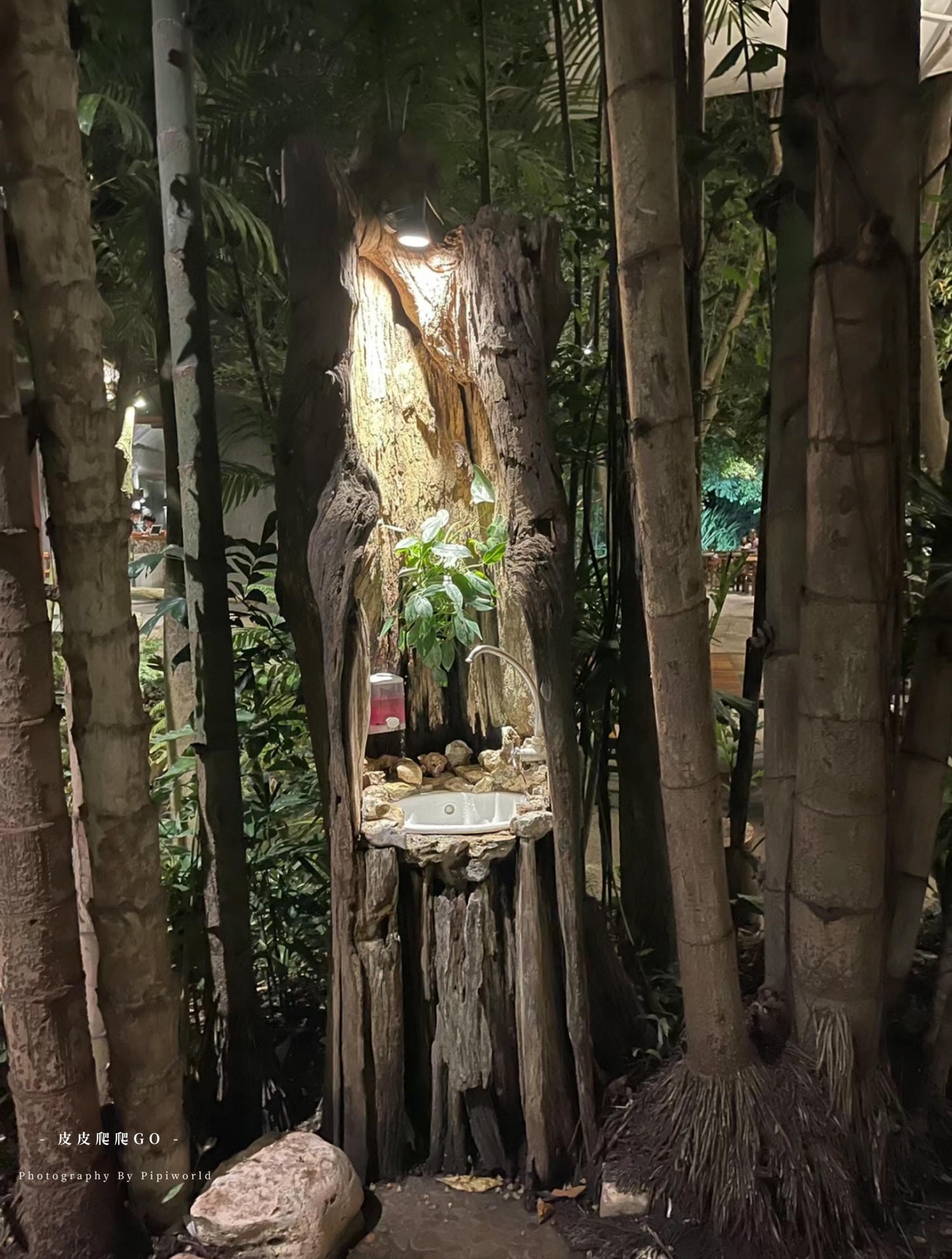 泰國清邁黑森林餐廳