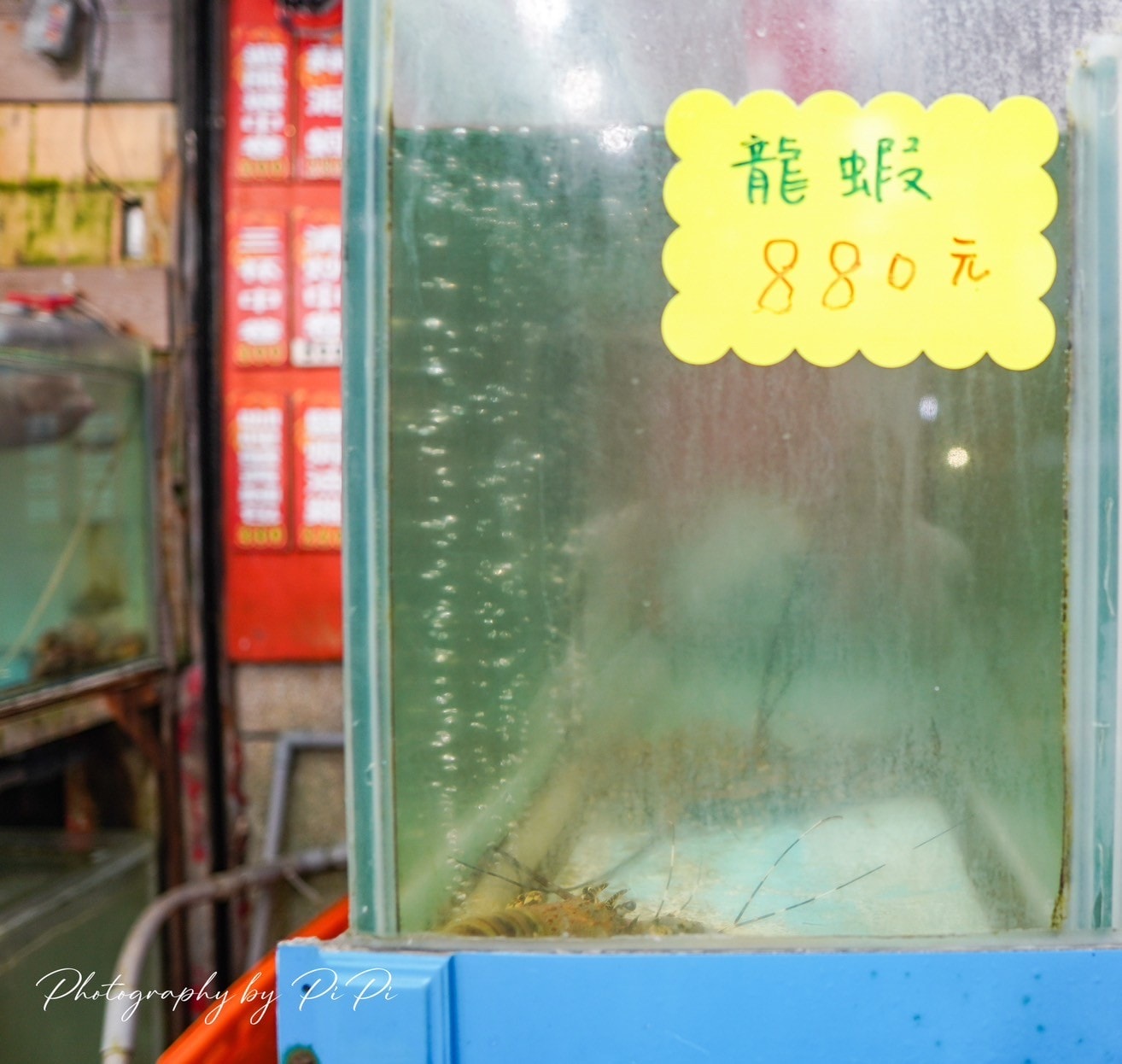 野柳望海亭海鮮餐廳