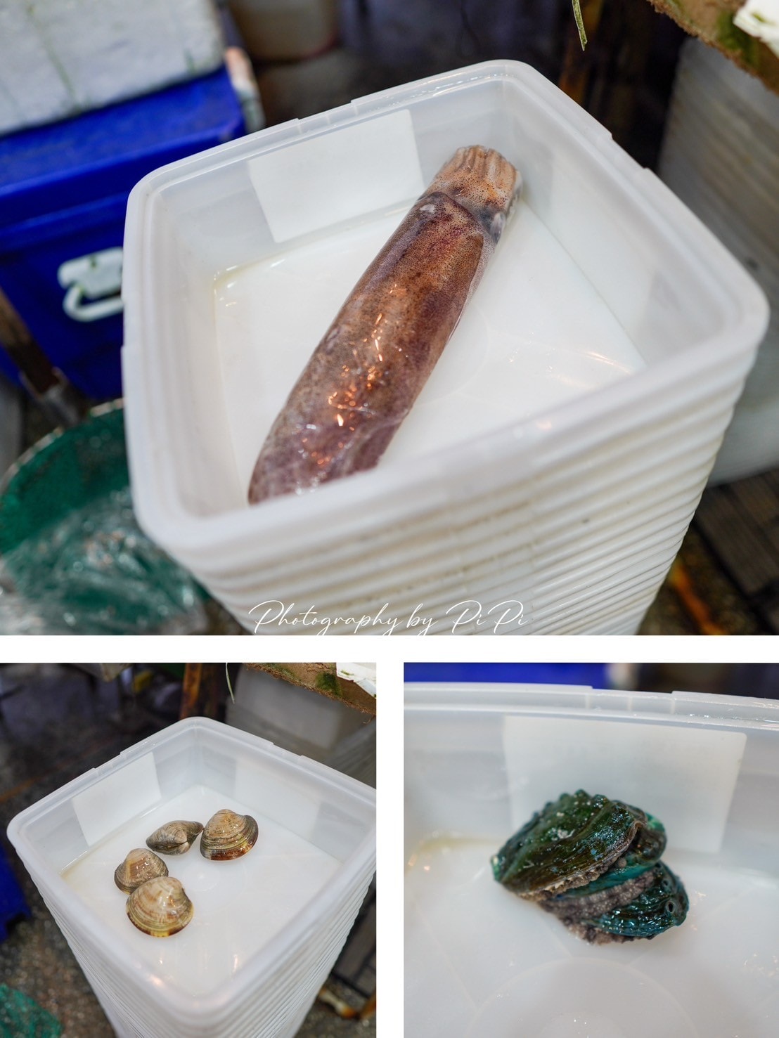 龜吼漁港推薦餐廳--望海亭