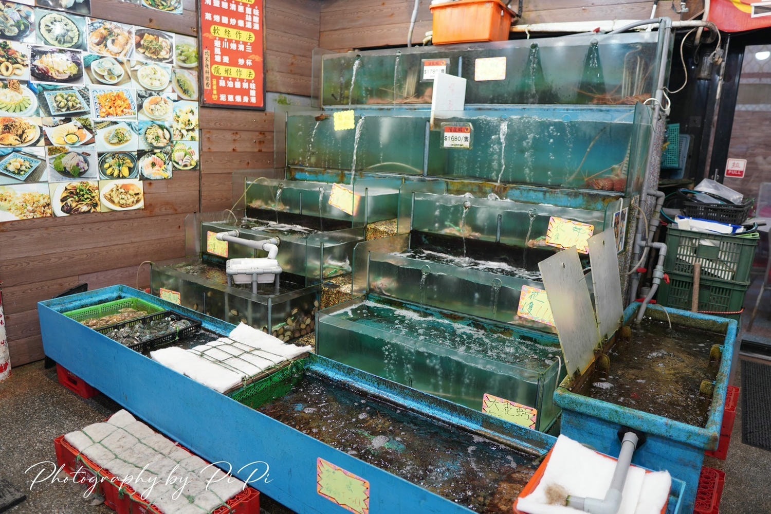 野柳望海亭海鮮餐廳