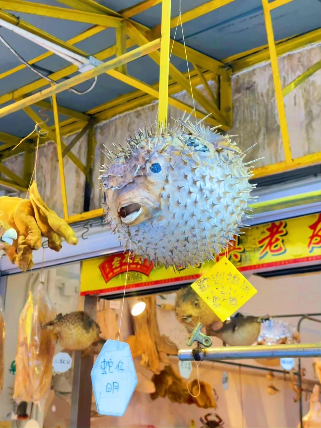 【香港旅遊】大嶼山昂坪360纜車、大澳漁村旅遊攻略、昂坪市集|香港一日遊攻略,山海文創療癒一日遊 - 第43張圖 香港大澳漁村