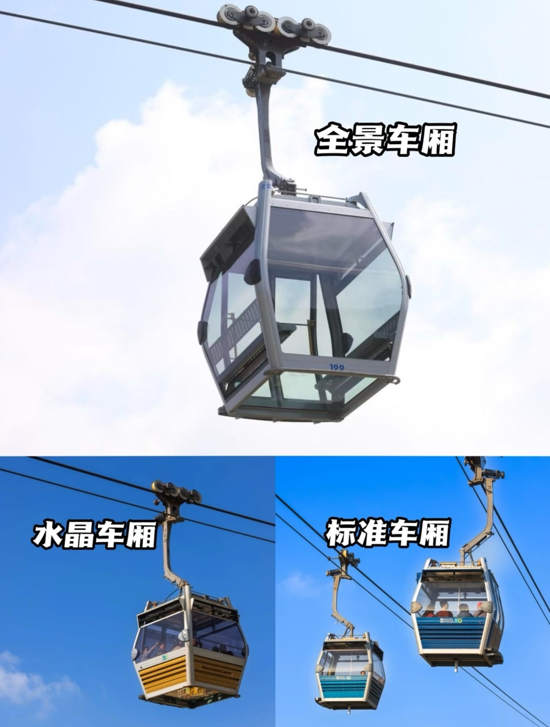 【香港旅遊】大嶼山昂坪360纜車、大澳漁村旅遊攻略、昂坪市集|香港一日遊攻略,山海文創療癒一日遊 - 第7張圖 昂坪纜車水晶和全景和標準車廂