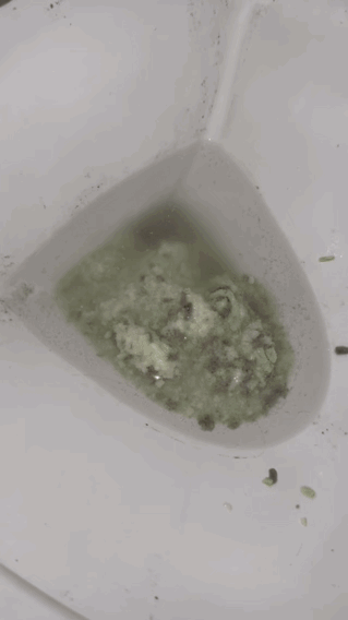 喵趣貓砂, 貓砂推薦, 豆腐貓砂推薦, 豆腐砂品牌推薦, 喵趣 Maoch, 貓砂種類, 無粉塵貓砂
