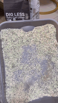 喵趣貓砂, 貓砂推薦, 豆腐貓砂推薦, 豆腐砂品牌推薦, 喵趣 Maoch, 貓砂種類, 無粉塵貓砂