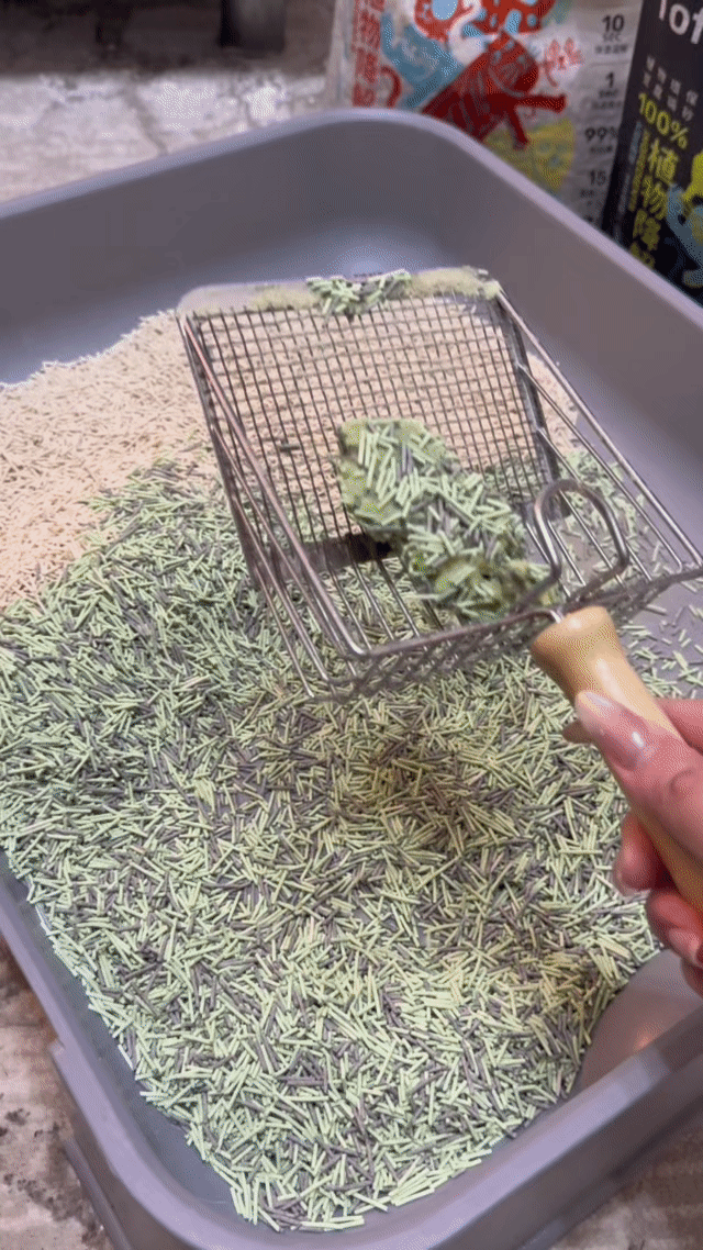 喵趣貓砂, 貓砂推薦, 豆腐貓砂推薦, 豆腐砂品牌推薦, 喵趣 Maoch, 貓砂種類, 無粉塵貓砂