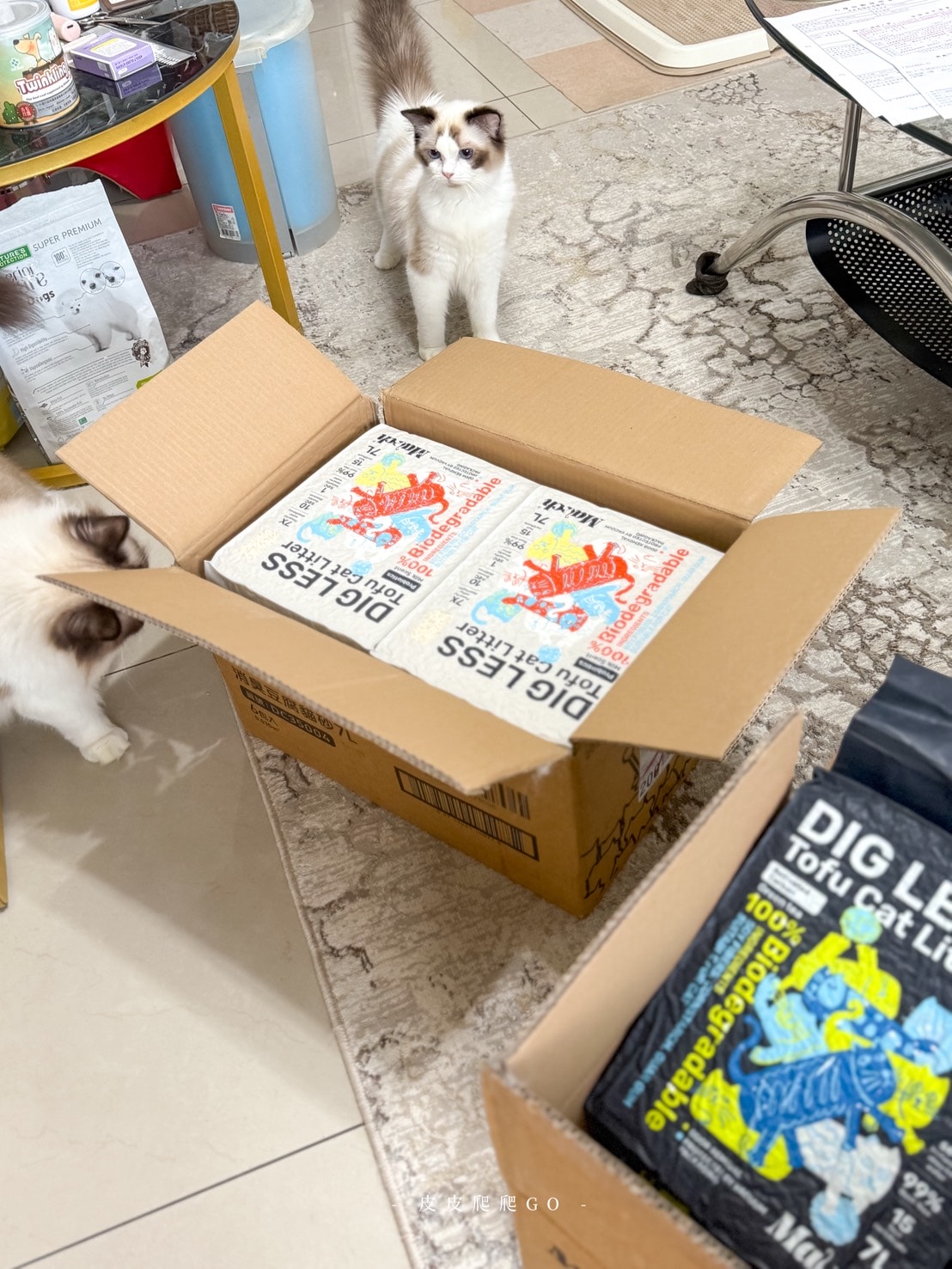 喵趣貓砂, 貓砂推薦, 豆腐貓砂推薦, 豆腐砂品牌推薦, 喵趣 Maoch, 貓砂種類, 無粉塵貓砂