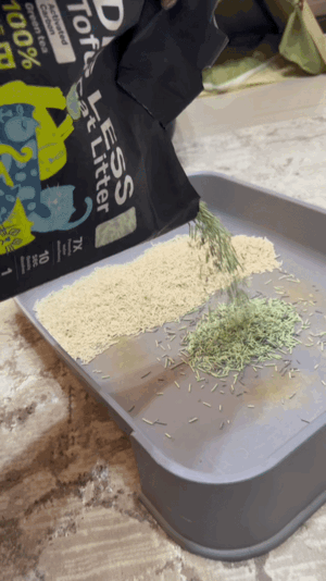 喵趣貓砂, 貓砂推薦, 豆腐貓砂推薦, 豆腐砂品牌推薦, 喵趣 Maoch, 貓砂種類, 無粉塵貓砂