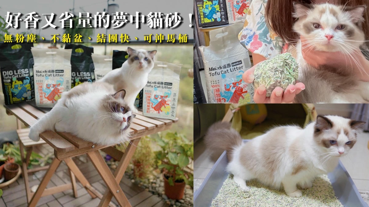 喵趣貓砂, 貓砂推薦, 豆腐貓砂推薦, 豆腐砂品牌推薦, 喵趣 Maoch, 貓砂種類, 無粉塵貓砂